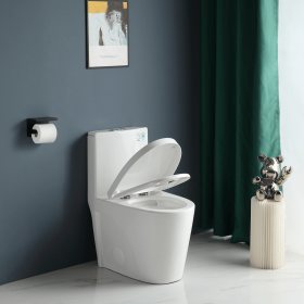 One-Piece Toilet, 1.1/1.60 GPF Water-Efficient Dual-Flush Elongated Comfort Height Floor Mounted, Standard-Size Toilet with Soft Closing Seat Included