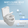 One-Piece Toilet, 1.1/1.60 GPF Water-Efficient Dual-Flush Elongated Comfort Height Floor Mounted, Standard-Size Toilet with Soft Closing Seat Included