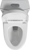 One-Piece Toilet, 1.1/1.60 GPF Water-Efficient Dual-Flush Elongated Comfort Height Floor Mounted, Standard-Size Toilet with Soft Closing Seat Included